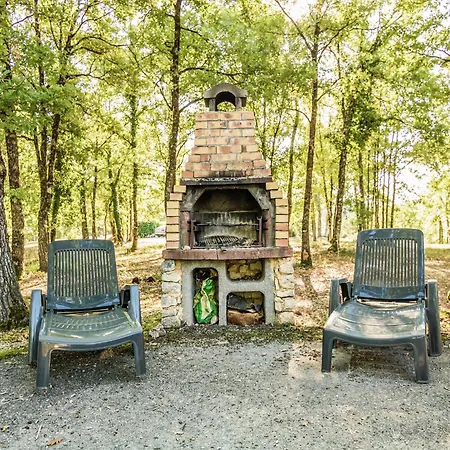 With Swimming Pool 別荘 Salignac Eyvigues